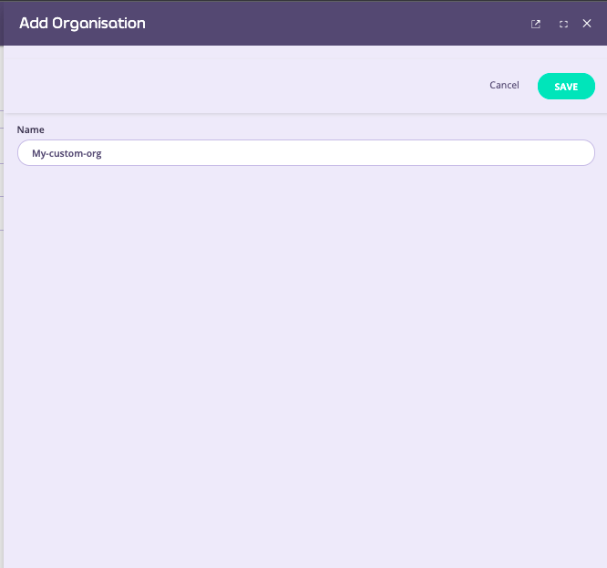 Giving the new Organisation a name