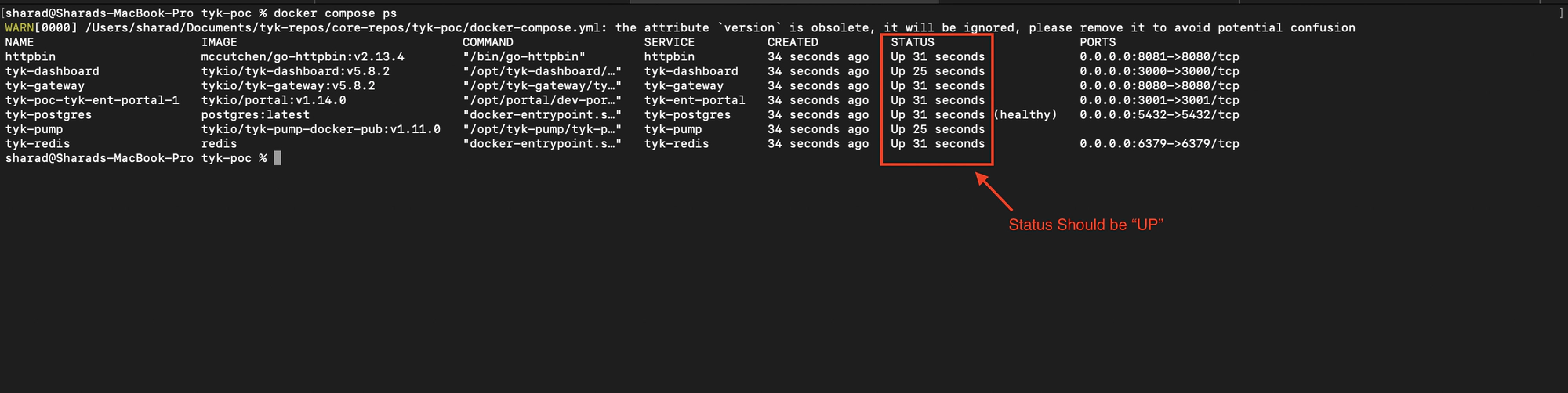 Docker Container Status of Tyk Self Managed Trial